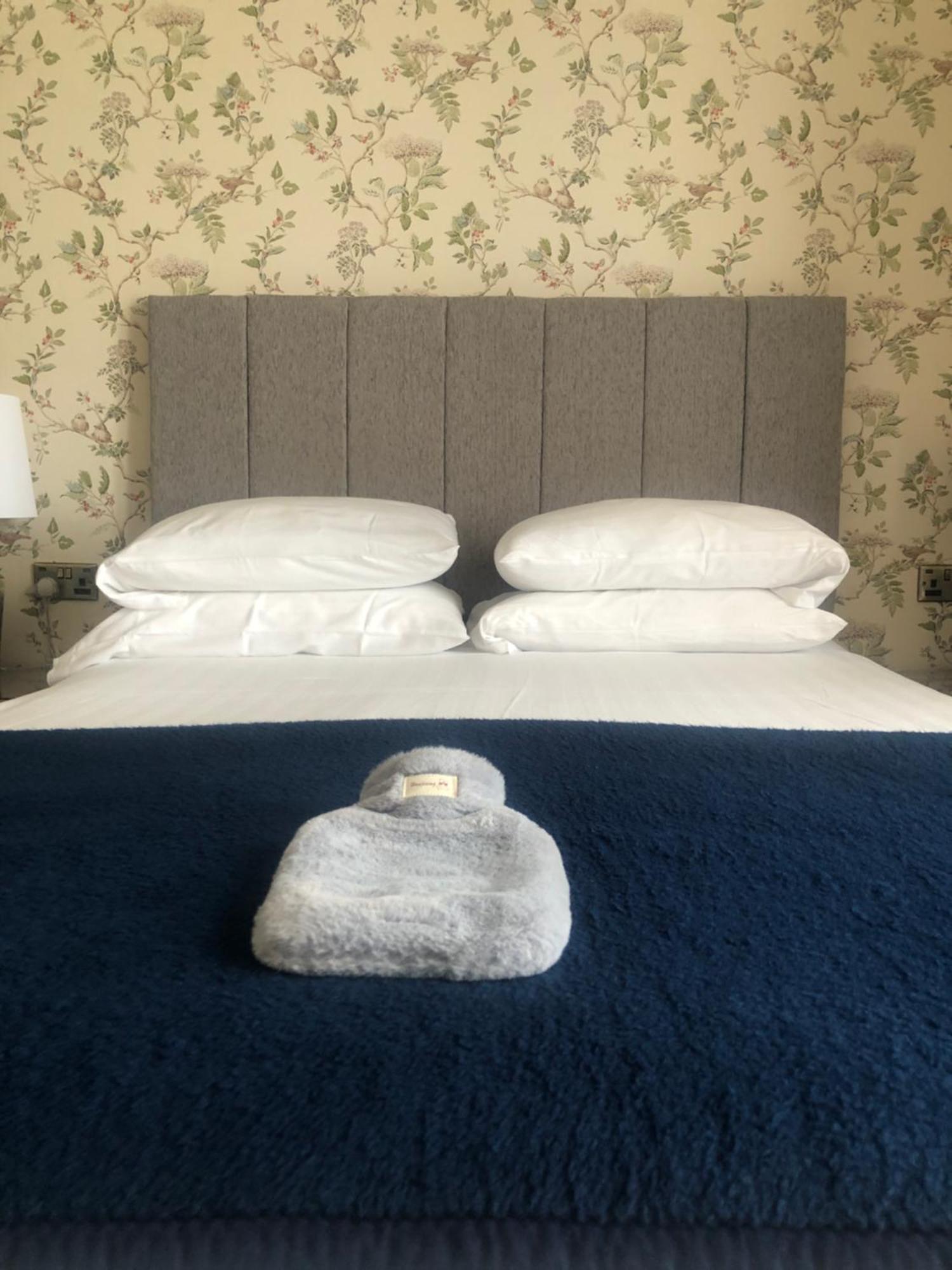 אבריסטוויט Helmsman Guesthouse מראה חיצוני תמונה