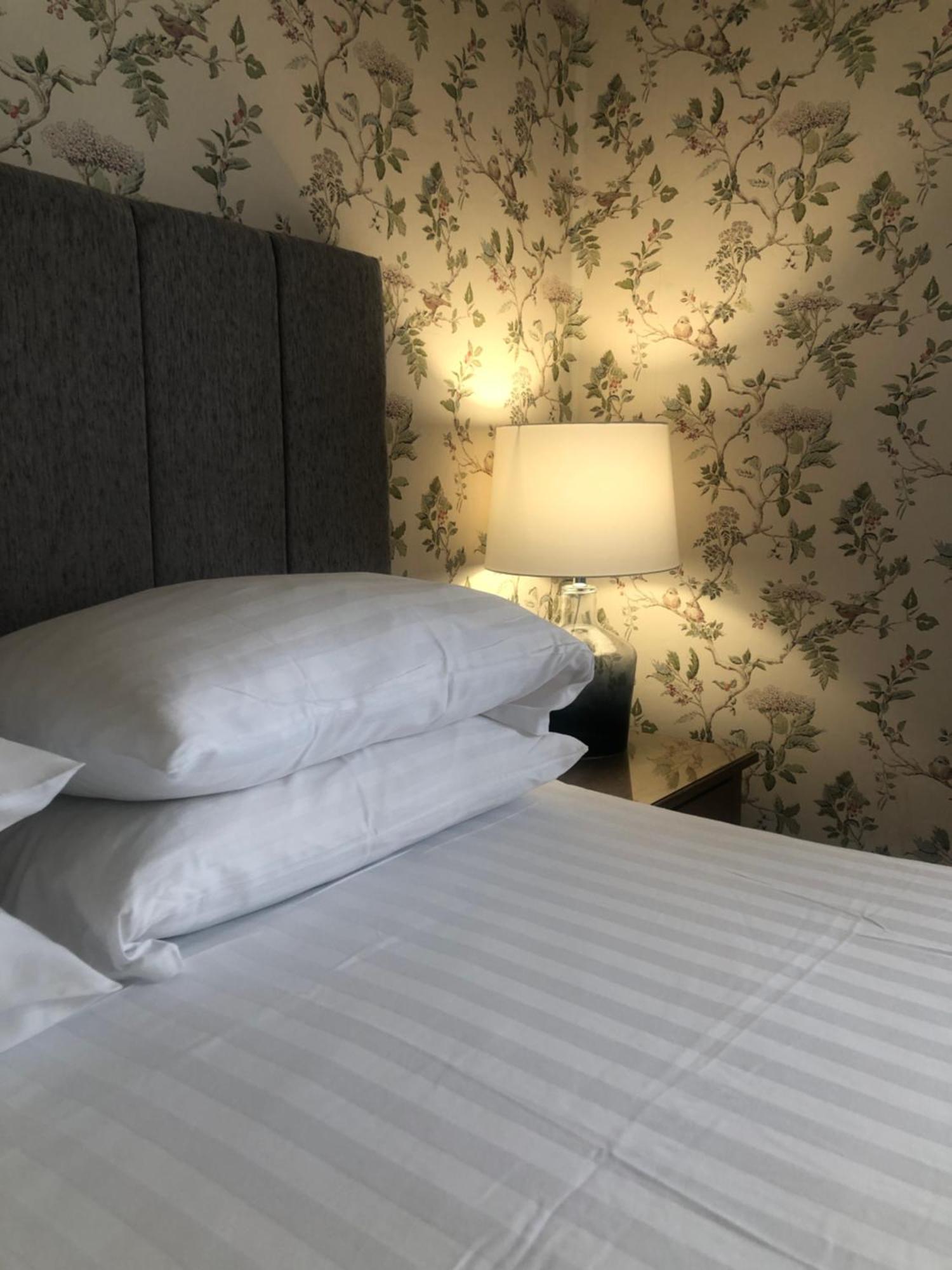 אבריסטוויט Helmsman Guesthouse מראה חיצוני תמונה